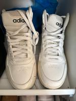 Adidas Schuhe Gr. 36,5 kaum getragen! Düsseldorf - Gerresheim Vorschau