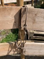 Knotenhalfter mit Reitringen Cob Rheinland-Pfalz - Leitzweiler Vorschau