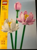 LEGO Lotusblumen Niedersachsen - Norden Vorschau