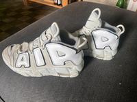 Nike Air Basketball Brandenburg - Ahrensfelde Vorschau