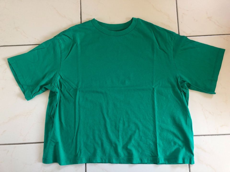 Shirt T-Shirt Kurzschnitt H&M Gr. 158/164 in Estenfeld