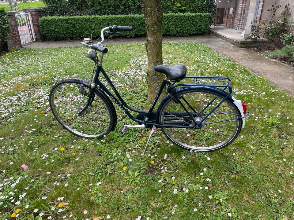 Gazelle Tournee Ambiance Hollandrad Damenrad Fahrrad dunkelblau in Köln