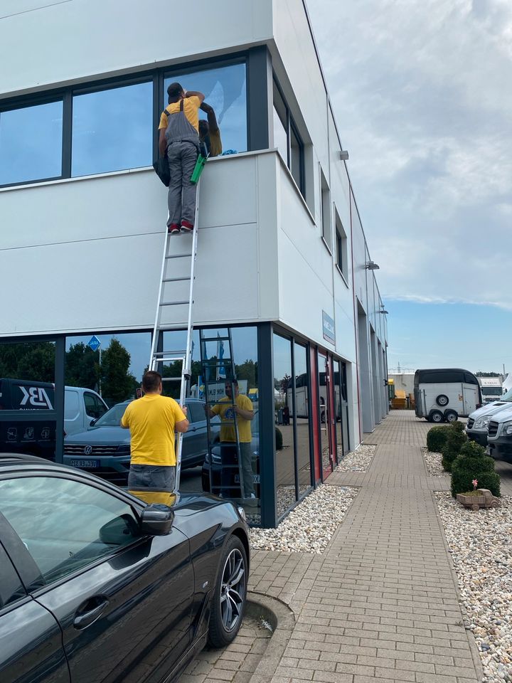 Fensterreinigung -Glasreinigung in Damme