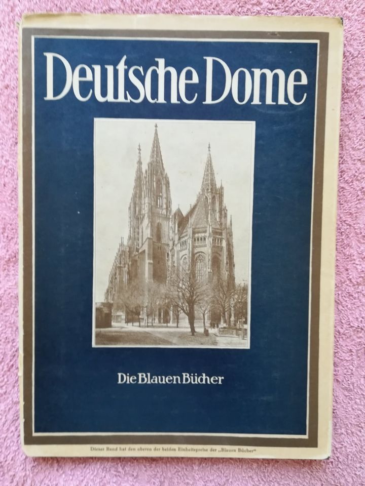 Deutsche Dome    DIE BLAUEN BÜCHER in Ulm