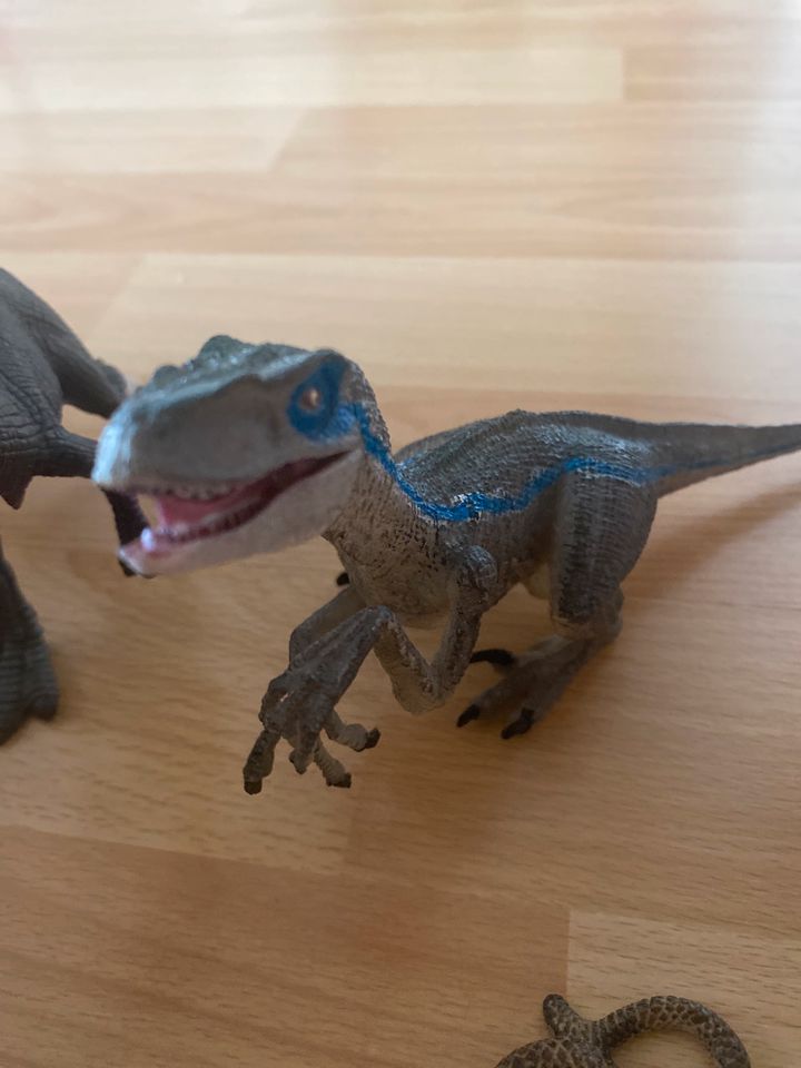 Dinosaurier-Figuren „Blue“usw. Schleich und andere in Euskirchen