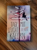 Tage mit Leucht Käfern - Buch Baden-Württemberg - Horb am Neckar Vorschau