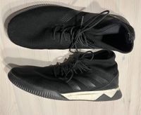 Adidas Sneaker Größe 48 2/3 Rheinland-Pfalz - Bad Marienberg Vorschau