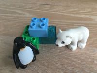 Lego Duplo 10501, Polartiere: Eisbär und Pinguin Baden-Württemberg - Ehningen Vorschau