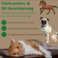 Hunde-Krankenversicherung & OP-Versicherung für Ihr Haustier Bayern - Deggendorf Vorschau