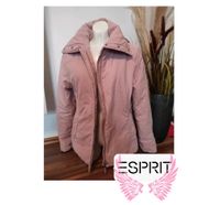 Rosa Jacke Esprit 36/38  übergangsjacke tailliert Nordrhein-Westfalen - Bergheim Vorschau