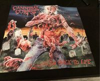 Cannibal Corpse verschiedene Cover Poster Rheinland-Pfalz - Sulzbach Vorschau