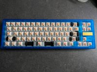 Custom Keyboard Ikki Aurora R2 (Farbe Aurora Blau) Bayern - Untergriesbach Vorschau