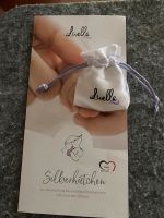 Silberhütchen  *livella* Bayern - Schmidmühlen Vorschau