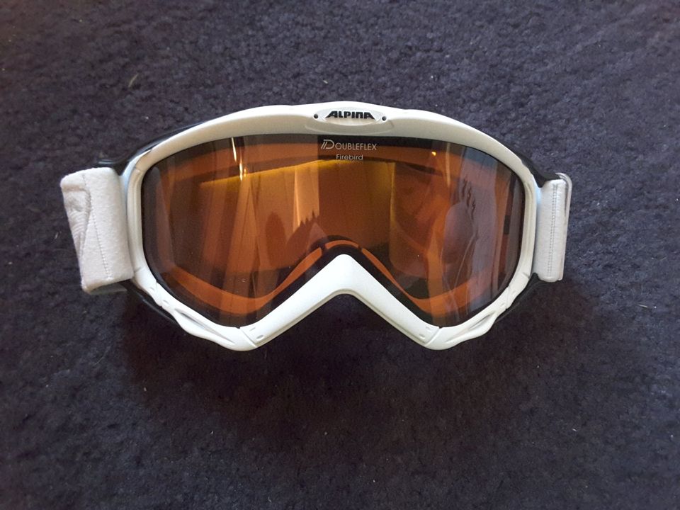 Skibrille von Alpina in Hohenwart