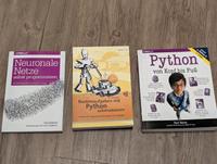 3 Bücher Programmieren mit Python Rostock - Stadtmitte Vorschau