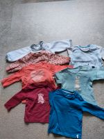 7 Baby Shirts Langarm Gr. 62-68 / Pullover Niedersachsen - Riede Vorschau