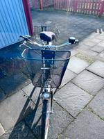 Fahrrad schwarz Niedersachsen - Wiefelstede Vorschau