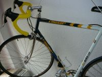 Rennrad, vom Weltmeister Francesco Moser, Campagnolo kompl. Rheinland-Pfalz - Bad Breisig  Vorschau