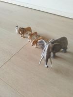 Schleichtiere Wild Life - Elefant, Löwe, Gepard, Leopard - Katze Rheinland-Pfalz - Melsbach Vorschau