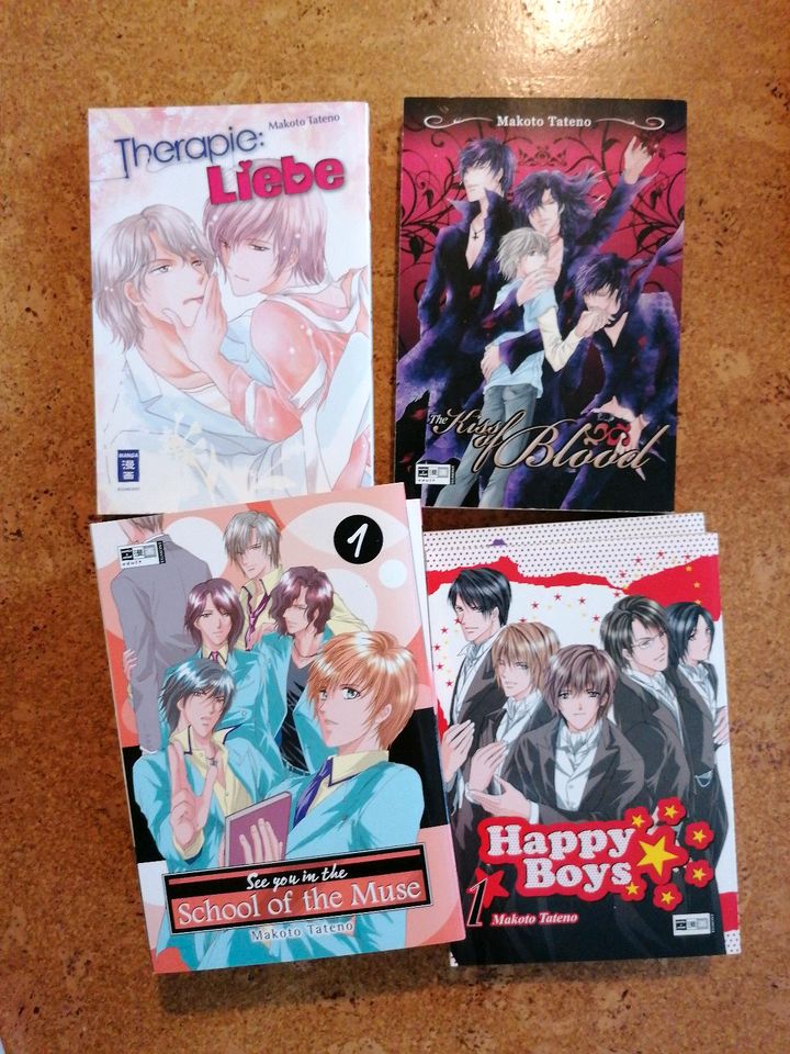 Makoto Tateno - boys love und comedy Manga Sammlung in Ilmenau