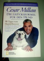 Cesar Milan , der Hundeflüsterer Brandenburg - Neuenhagen Vorschau