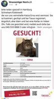 Katze vermisst Eimsbüttel - Hamburg Eidelstedt Vorschau