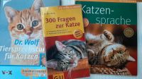 3 Bücher über Katzen Sachsen - Neundorf  Vorschau