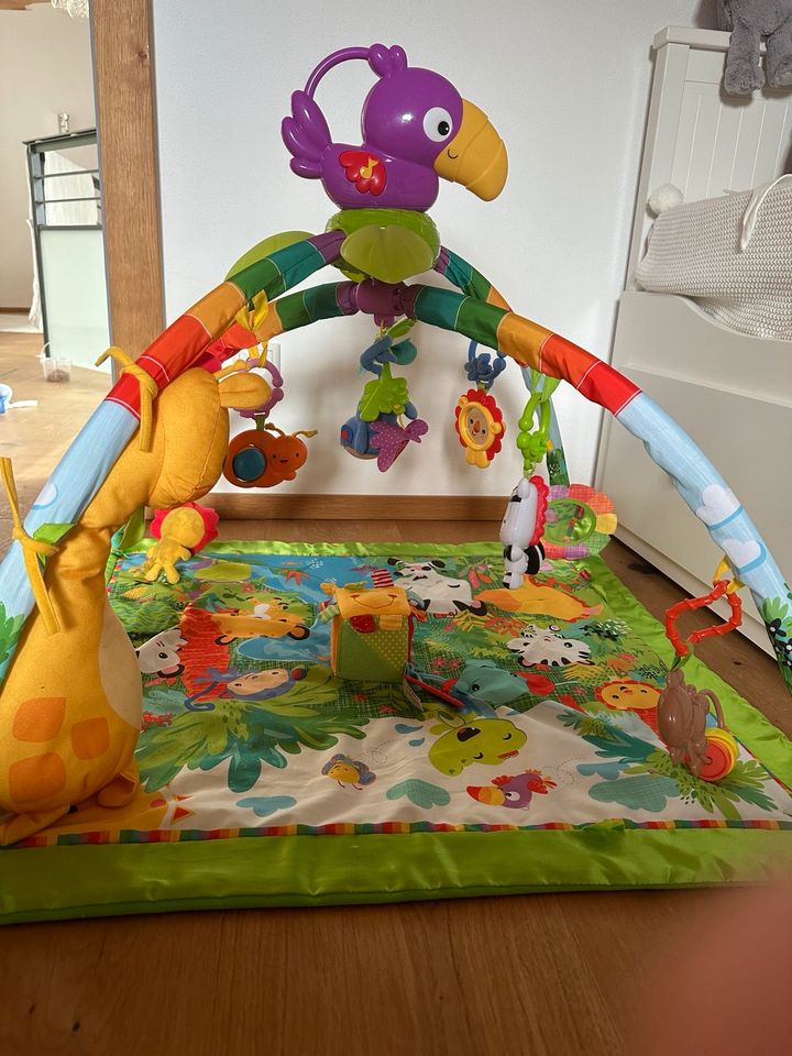 Spielebogen Fisher-Price Rainforest in Hohenbrunn