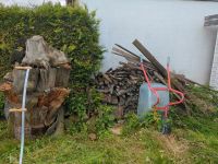Brennholz kaminholz zu verschenken Nordrhein-Westfalen - Bornheim Vorschau