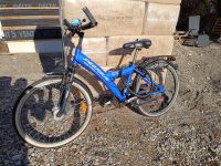 Pegasus 24 Zoll Kinderfahrrad München - Pasing-Obermenzing Vorschau