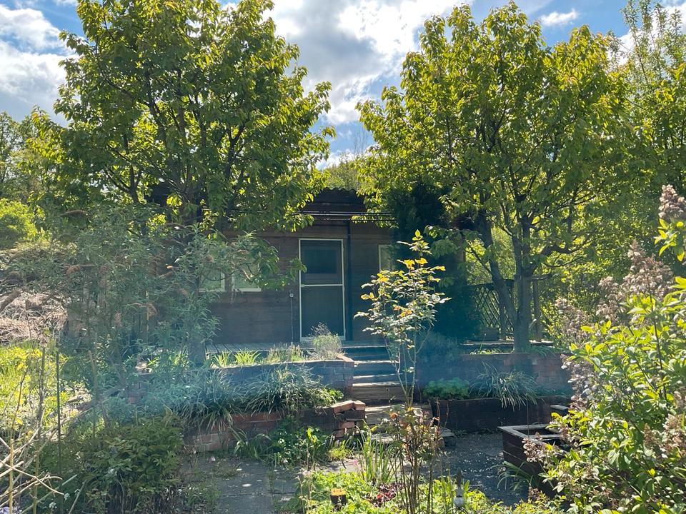 Kleingarten pachtfrei abzugeben in Dresden Laubegast Grundstück