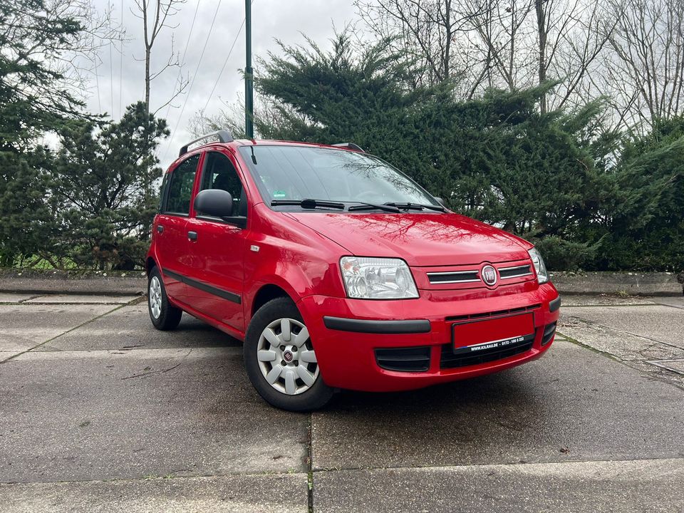 Fiat Panda 1.2 8V Dynamic Klima Euro 5 Zentral Servo in Mettmann