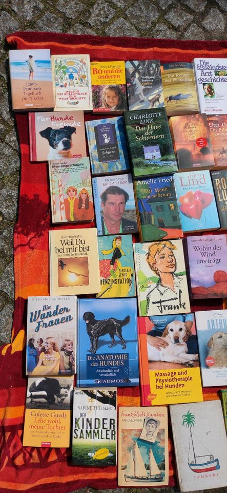 Bücher Romane Sachbücher alte Bücher in Luckenwalde