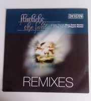 Flutlicht – The Fall (Remixes) 12" Vinyl Bremen - Borgfeld Vorschau
