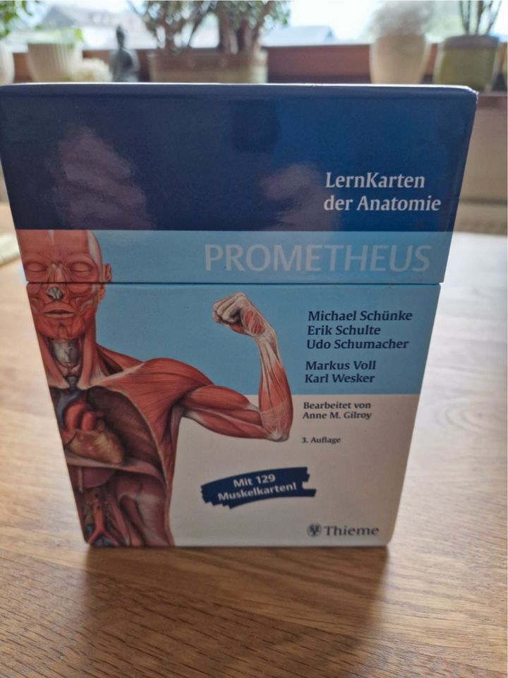 Prometheus LernKarten der Anatomie in Zwiesel