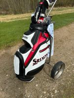 Srixon Golf Cart Bag Eimsbüttel - Hamburg Harvestehude Vorschau