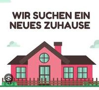 Wir suchen ein Haus in Lübben Brandenburg - Lübben Vorschau