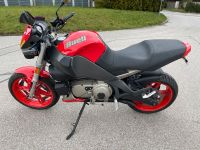 Buell xb 12 Ulysses Bayern - Traunreut Vorschau