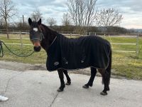 Abschwitzdecke black von Horse Friends Baden-Württemberg - Vellberg Vorschau