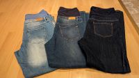 Umstandshosen - Jeans in 42/44 (XL) Niedersachsen - Salzgitter Vorschau