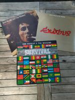 Bob Marley and The Wailers Schallplatten Vinyl Pressung Espana Nordrhein-Westfalen - Hagen Vorschau