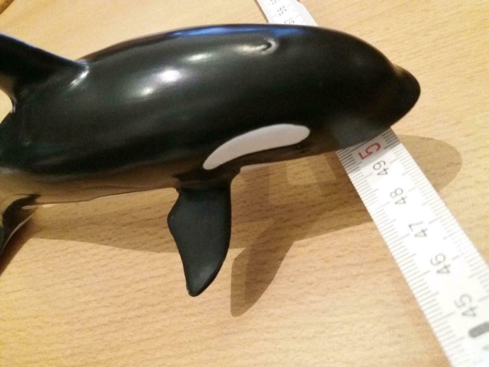 Orca von Schleich in Heidelberg