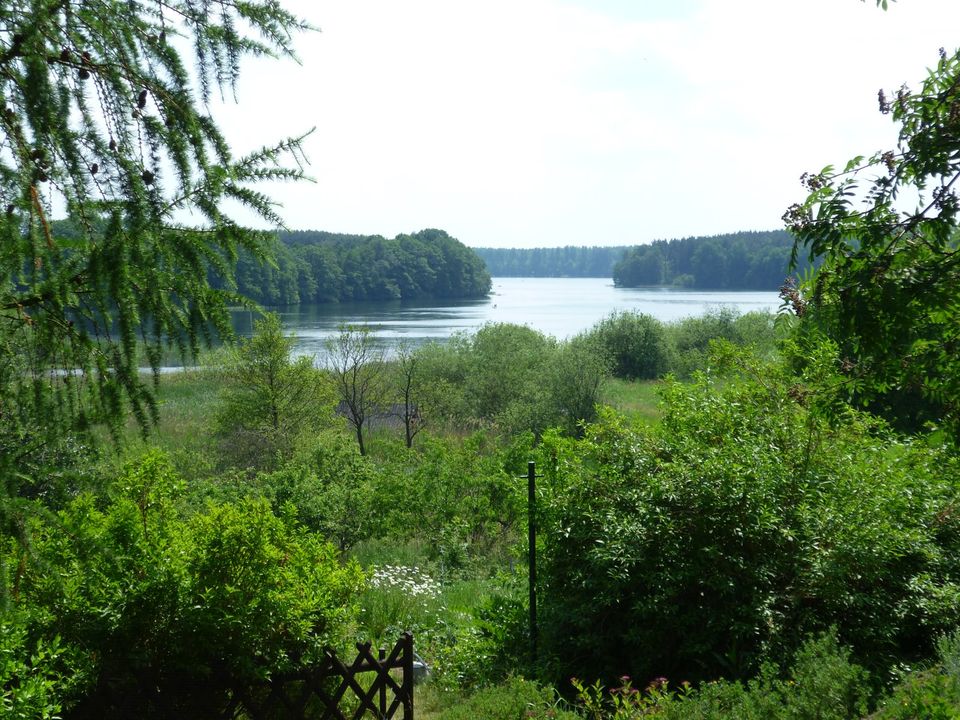 Tolle Lage am See, Ferienhaus Bungalow Ferienwohnung in Mecklenb. in Feldberg