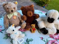 Teddybären von "Steiff" und  „Kuscheltiere" Bayern - Prien Vorschau