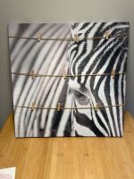 Bild Pinnwand Zebra 50x50cm Nordrhein-Westfalen - Troisdorf Vorschau