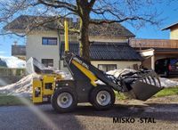 Radlader Hoflader Minihoflader Hoftruck Minibagger MISKO-STAL Sachsen - Görlitz Vorschau