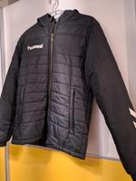 Hummel Steppjacke Sachsen - Thalheim/Erzgebirge Vorschau