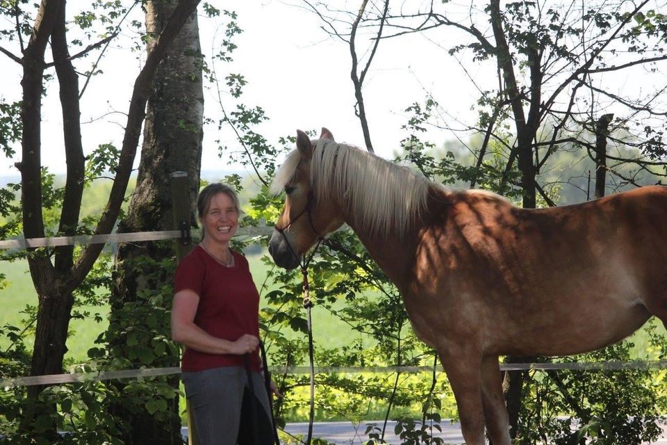 Natural Horsemanship Einsteigerkurse in Wetzlar