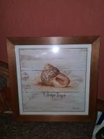 Maritimes Bild Schnecke Meer Strand 35x35 Holzrahmen Baden-Württemberg - Esslingen Vorschau