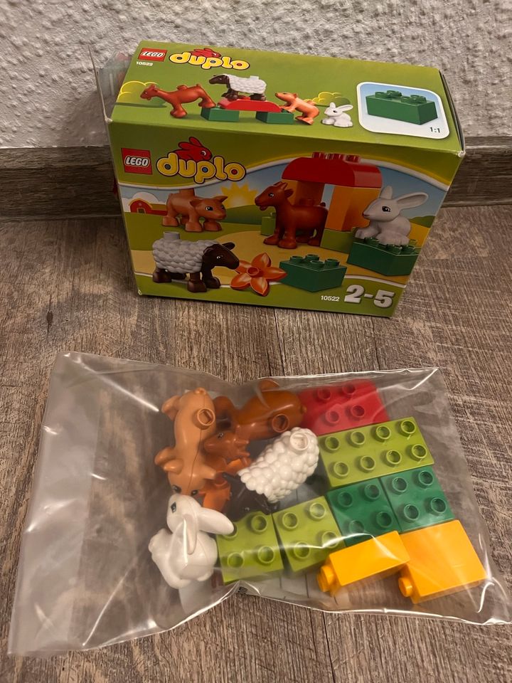 Lego Duplo 10522 Bauernhof-Tiere in Dresden